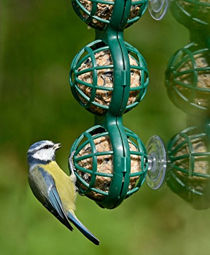 Fat Ball Feeder - Jacobi Jayne® Basketball™