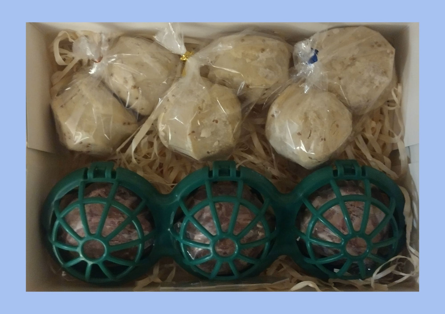 Hanging Suet Feeder Gift Box