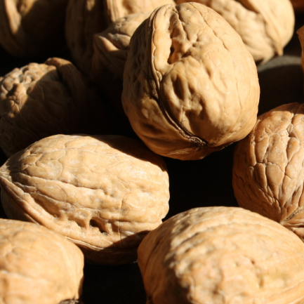 Walnuts in Shell