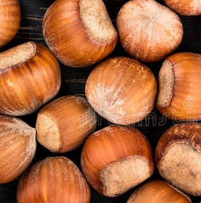 Hazelnuts in Shell