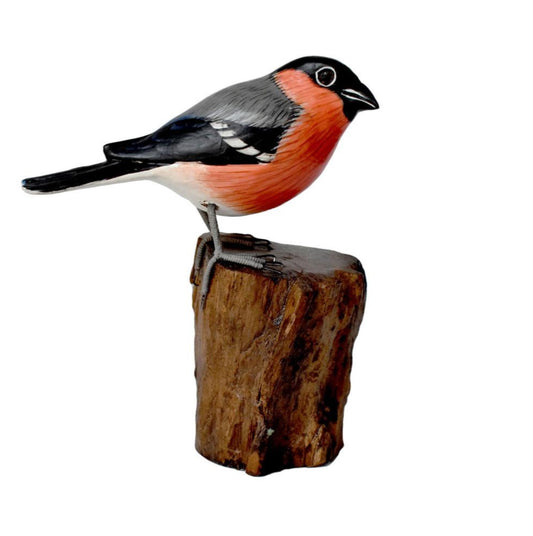 Bullfinch on tree trunk