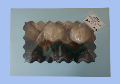 Hanging Suet Feeder Gift Box