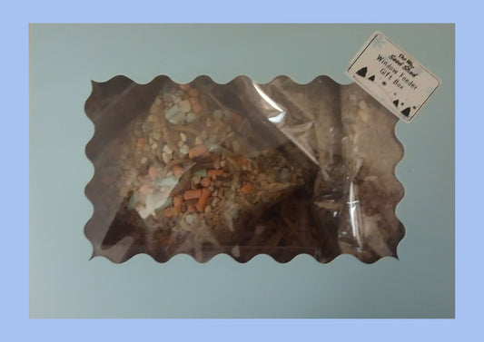 Window Feeder Gift Box